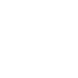 Dental Crowns